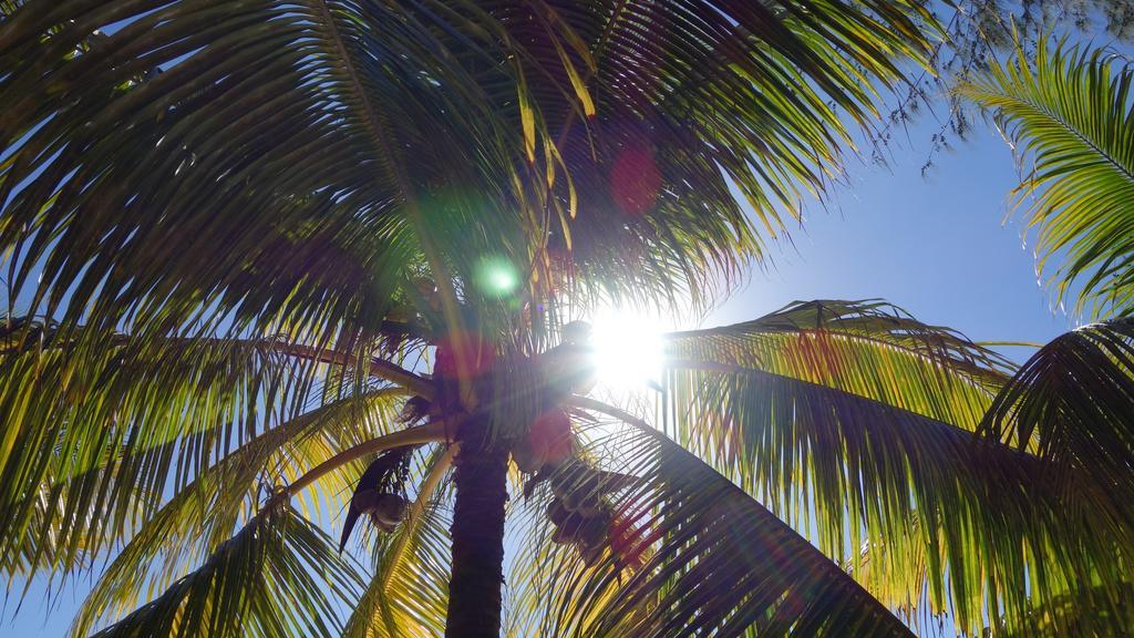 Willa Coconuts Grand Baie Zewnętrze zdjęcie